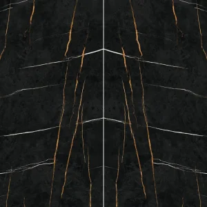 Sahara Noir